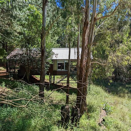 Stoneyhall Farm Accommodation Underberg Exterior foto