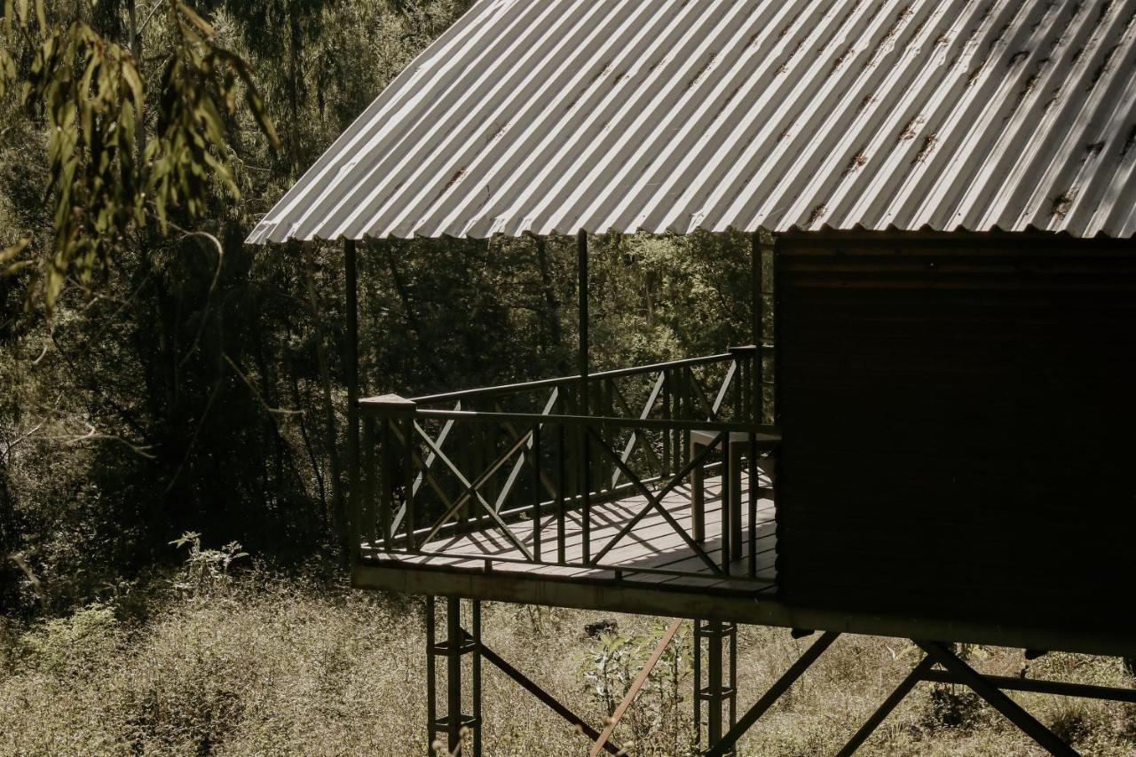 Stoneyhall Farm Accommodation Underberg Exterior foto