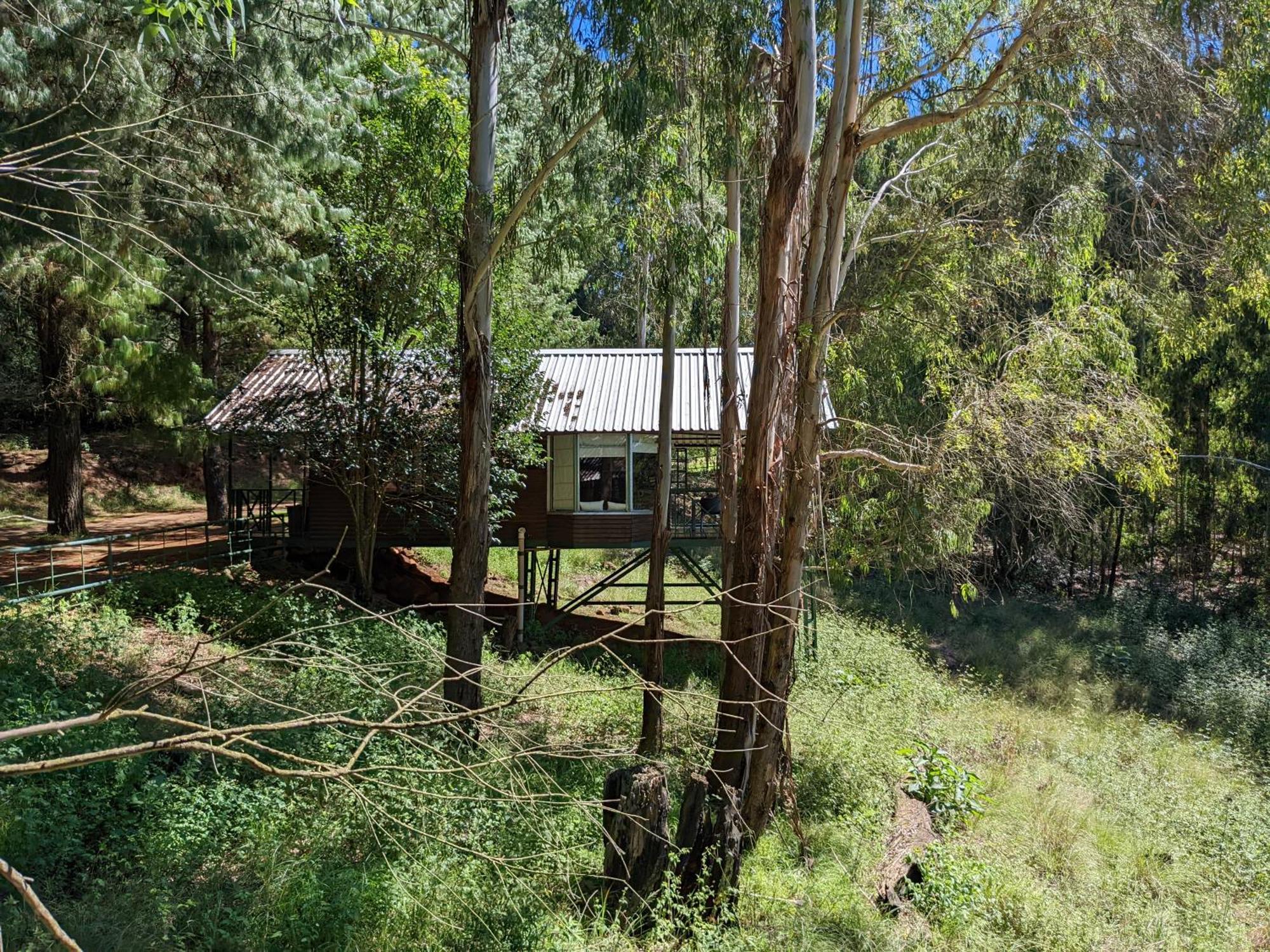 Stoneyhall Farm Accommodation Underberg Exterior foto